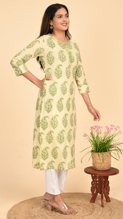 Vasvi Pistachio Bagh Straight Kurti