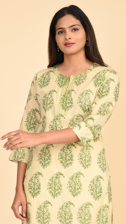 Vasvi Pistachio Bagh Straight Kurti